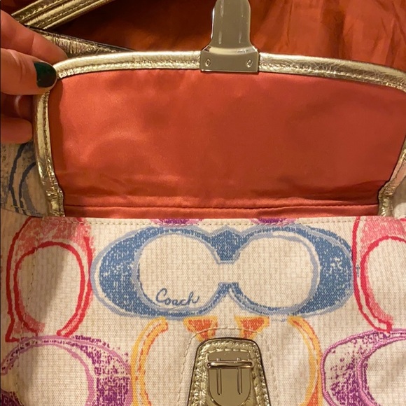 Adorable Multi Color Coach - Picture 4 of 6